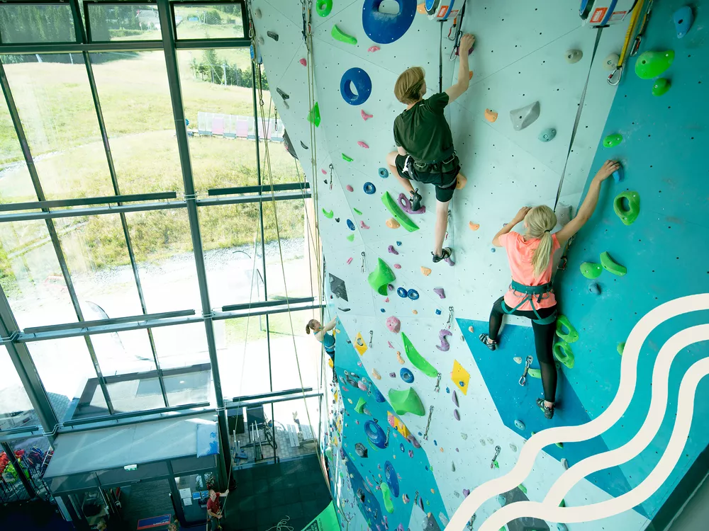 15 DSC00097 med linjer