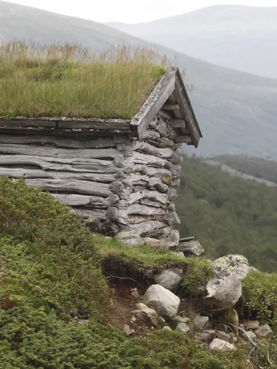 Nature 94 hemsedal TK 12 jpg