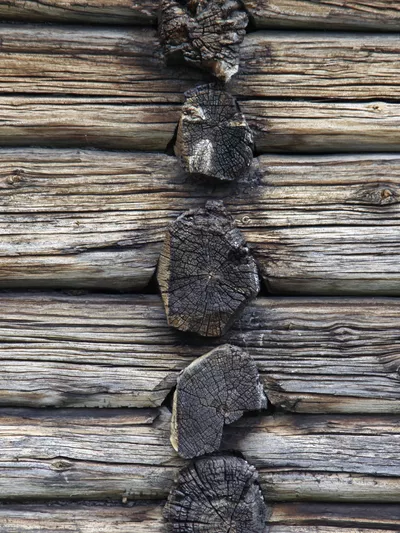 Nature 97 hemsedal TK 12 jpg