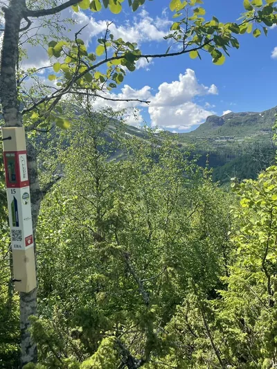 Bilde av stolpe i Stolpejakten