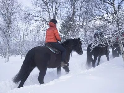 Dame som rir brun hest på vinteren