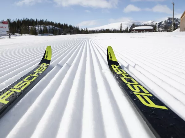 Langrennsski i langrennssporet.