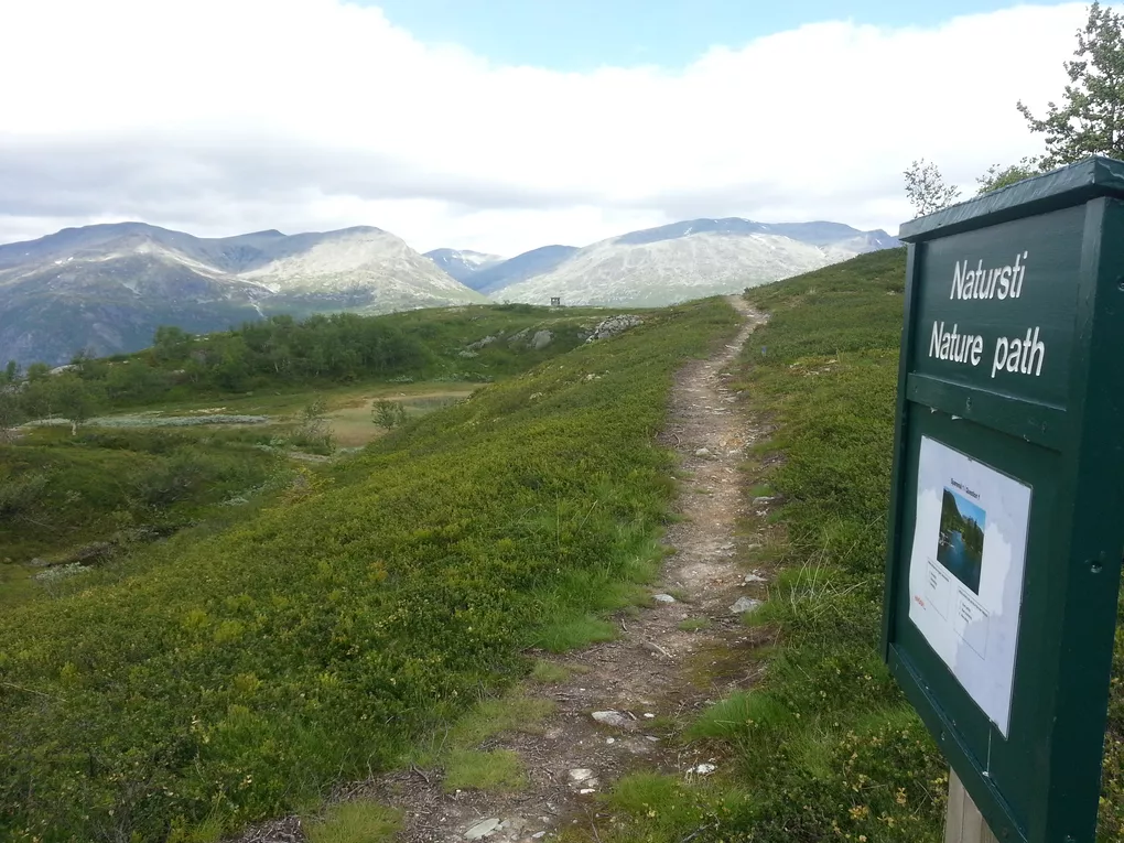 Natursti i fjellet.