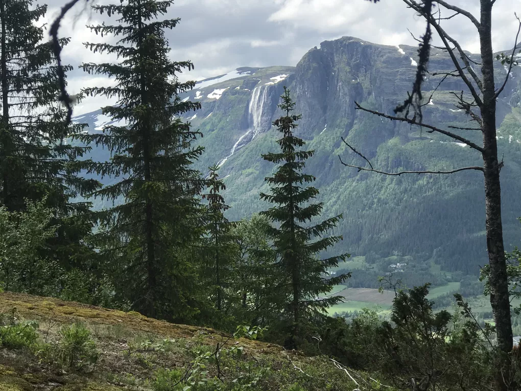 Utsikt mot hydnefossen, i bakgrunnen er det grønn skog.