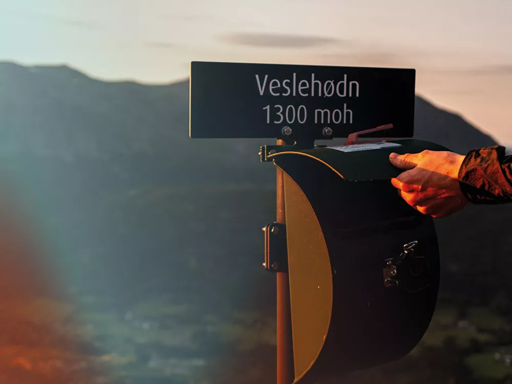 Topp20 Veslehødn icerust.