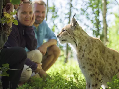 Langedrag Naturpark sommer Foto Visit Norway Brekkeseter8