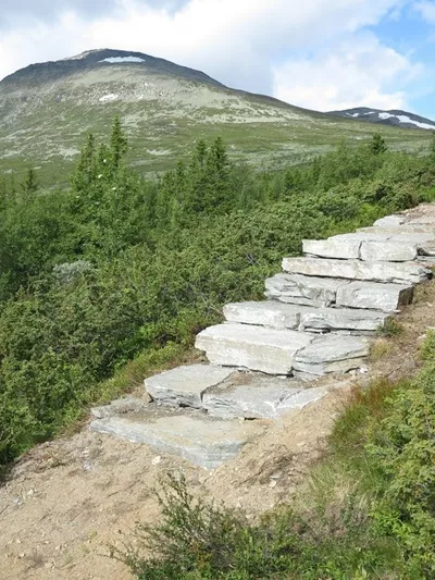 Steintrapp på vei opp på skogshorn