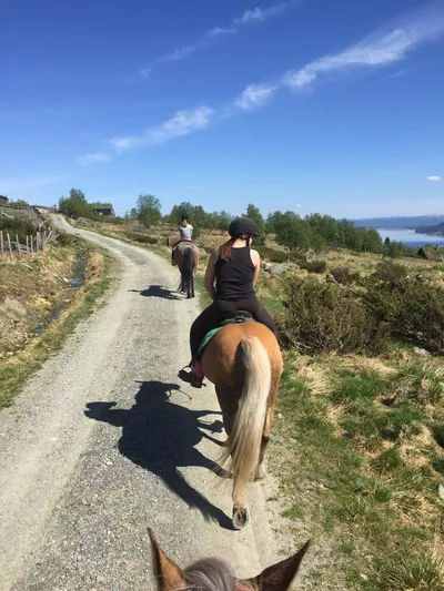 Ridetur, i fjellet tre hester.
