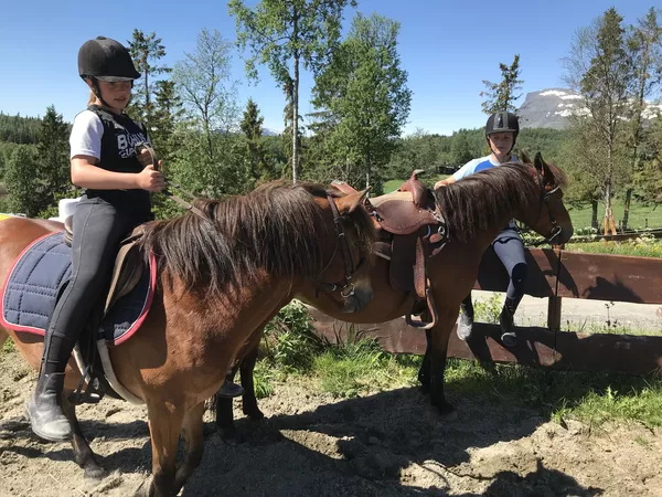 To jenter og to brune hester (sommer).