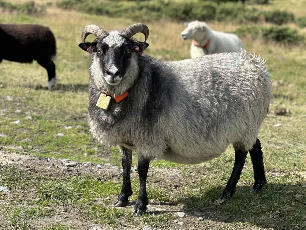 Bilde 14 08 2025 15 01 21