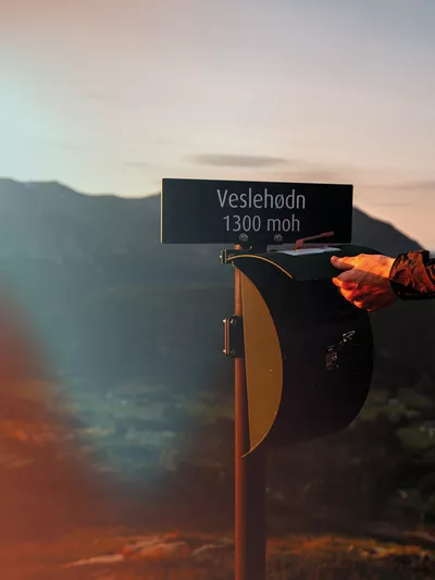 Topp20 Veslehødn icerust.